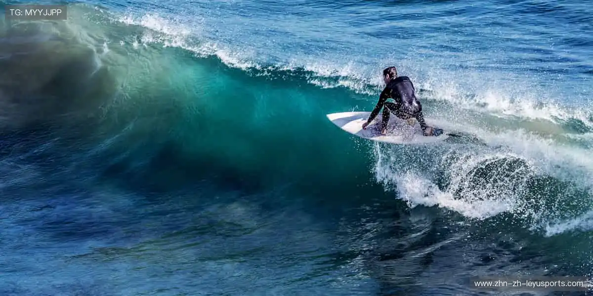 📱弹幕狂欢，实时互动！你的声音，让直播更有温度！