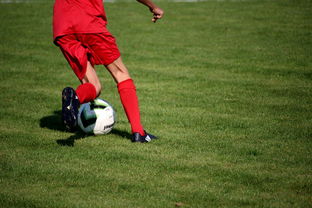 乐鱼体育在线-篮球运动员心理健康维护服务体系研究，篮球心理技能训练计划